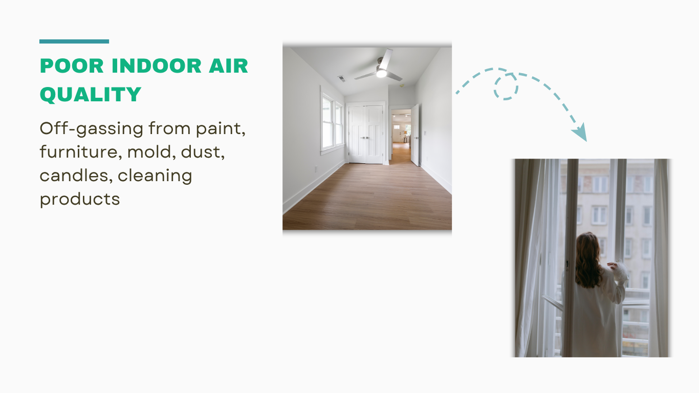 Impact of poor indoor air quality from toxic household items and air-purifying swaps like plants and filters